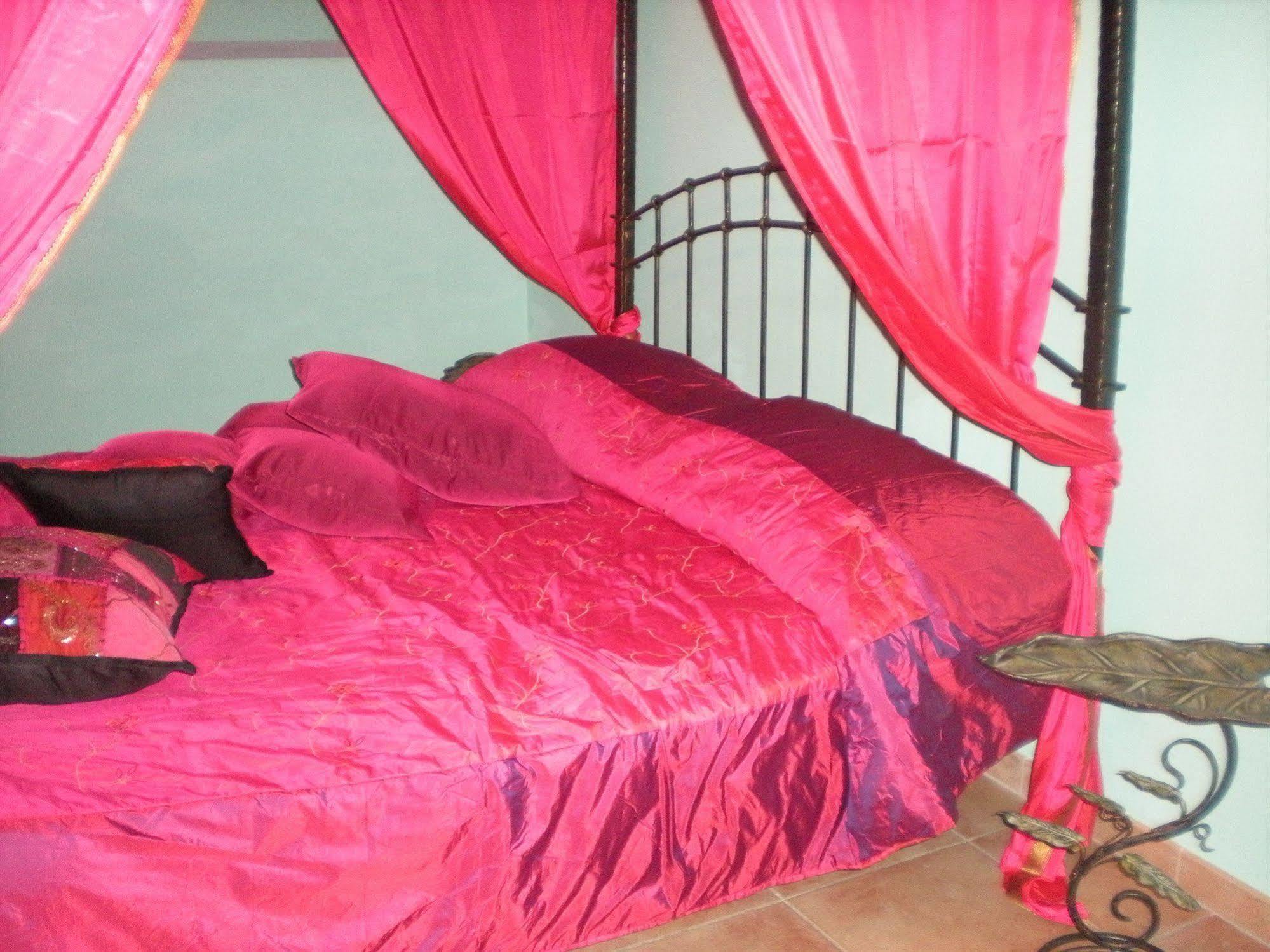 Bed & Breakfast Shiva 2*